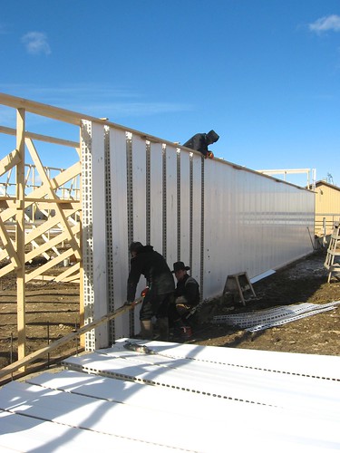 agriculture dairy agricultural formwork biosecurity fcf hutterite stemwall ponywall agriculturalbuilding dairyparlour