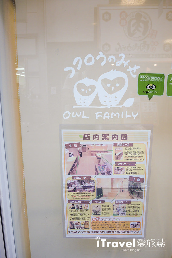 福冈猫头鹰咖啡店 Owl Family博德店 (7)