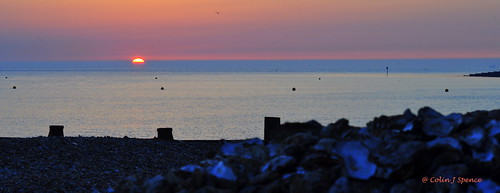 uk sea sun beach nature water sunrise coast kent pebbles whitstable naure shelll osteer