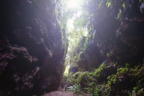 山谷 一線天 盤龍峽谷 大崗山風景區 田竂