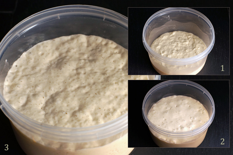 Пшеничное тесто замешивают. Брожение дрожжевого теста. Процесс брожения дрожжей. Дрожжевое тесто холодной ферментации. Дрожжевое тесто холодного замеса.