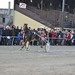 Kasaške dirke v Komendi 4.12.2016 Četrta dirka