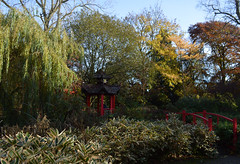 Chinese Garden, Abbey Park