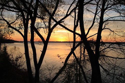 barrie sunrise sun tree lakesimcoe