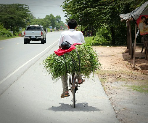 Local bikes, Cambodia