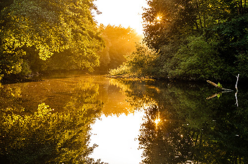 trees light sunset sun reflection water river germany deutschland gold golden licht wasser sonne bäume spiegelung saarlouis saar saarland goldenestunde saaraltarm