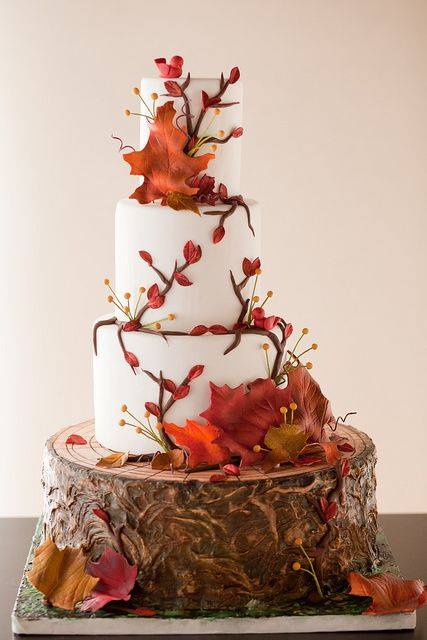 Autumn Cake by Dolci Aiuti