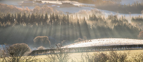trees mist rays roseberrytopping northyorksmoors northyorkshiremoors yorkshire aytonbanksfarm frost morning canon760d sigmaaf1770mmf2845dcmacro