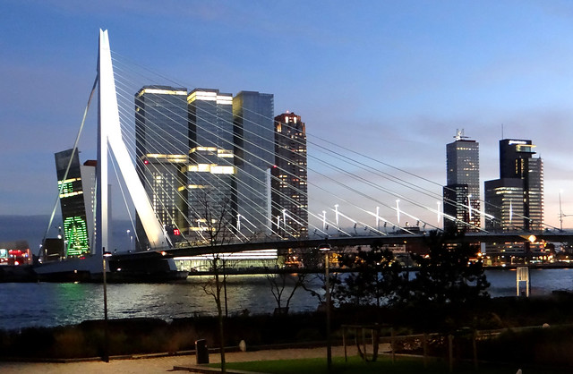 De Rotterdam avond