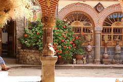 a sunlit courtyard in cusco