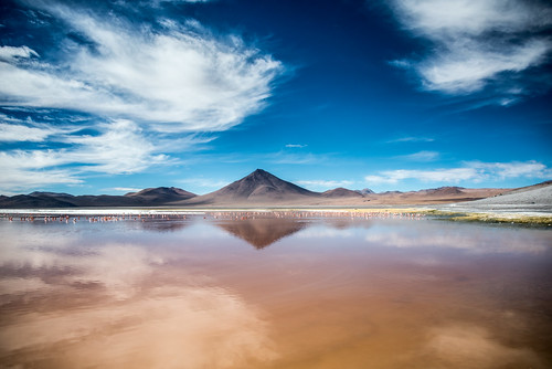 mountain lake southamerica landscape flamingoes bolivia