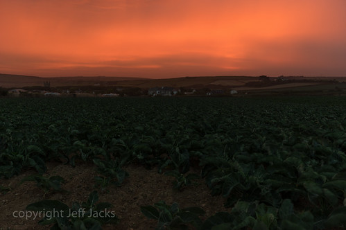 sunrise cornwall village pentax farm cabbage fields gwithian k3 sigma1020mmf456exdc