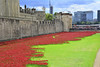 Poppies At The Tower Of London 23-8-2014 by Martin Pettitt