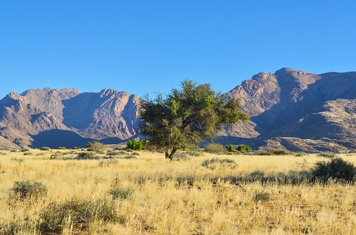 Brandberg, highest mountain range of Namibia