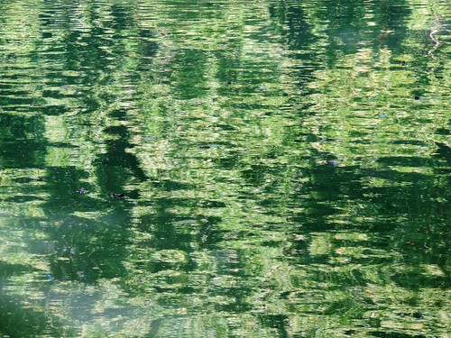 Monet like reflections