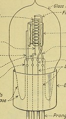 WoodWarbler&#039;s JazzGrass