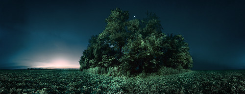 trees panorama moon nature rural sunrise michigan august soybeans 2014