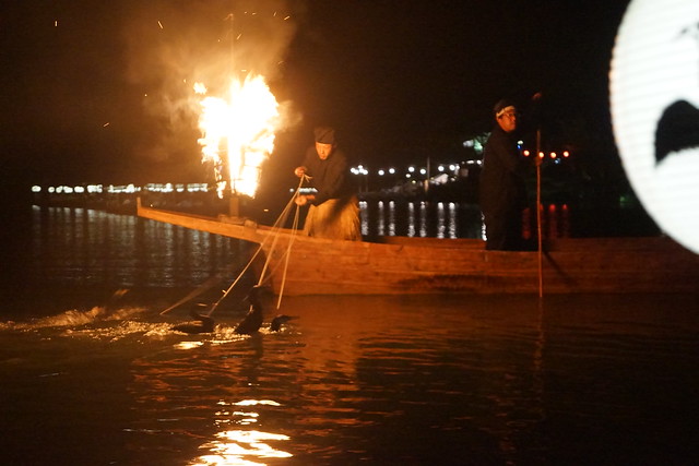 嵐山の鵜飼 / Cormorant Fishing in Arashiyama