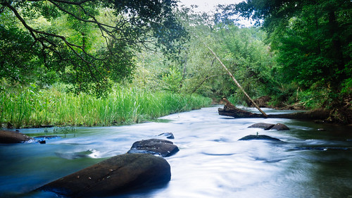 blue tree green water river nc northcarolina raleigh falls neuse fallsofneuse