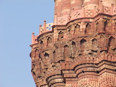 Qutub Minar Complex / クトゥブ・ミナール