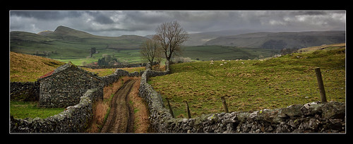 stone landscape sheep yorkshire farming barns goat dry lane cannon fields dales 60d