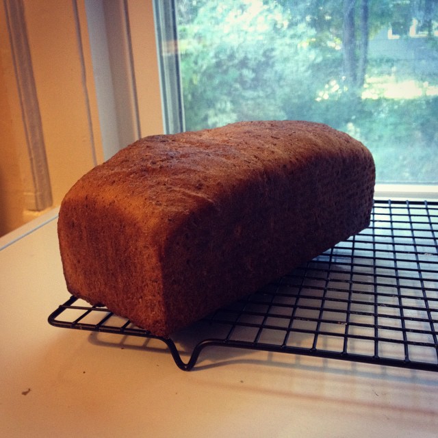 One week eating storebought bread (b/c I screwed up last week) reminded me why I take the time to make my own sandwich bread every Sunday. Mmmm.
