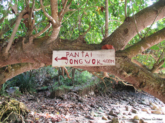 Jungwok Sign