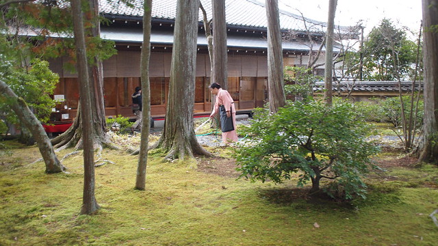Rokuonji Temple (The Golden Pavilion Temple)