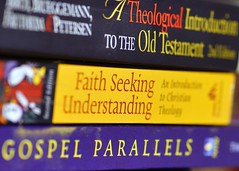 196/365: Fides Quaerens Intellectum (Faith Seeking Understanding)