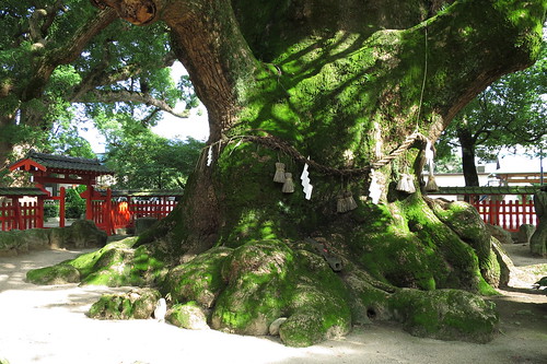 Umi-Hachimangu shrine