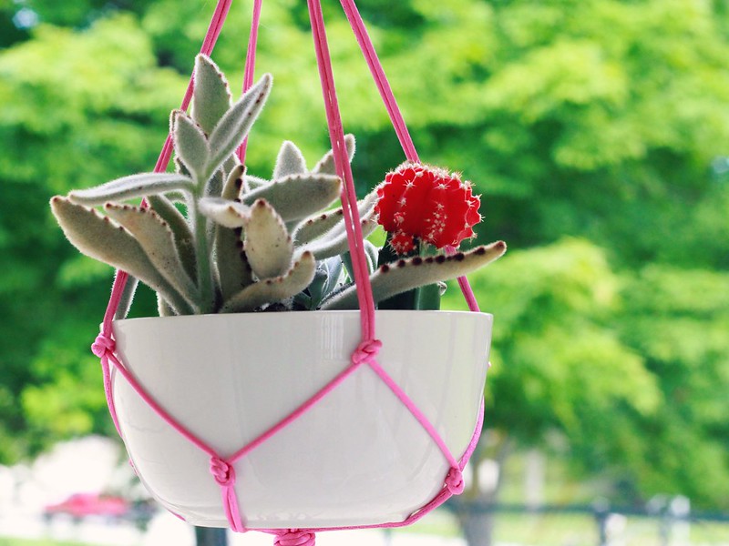 how to make a diy hanging planter tutorial via Kristina J blog