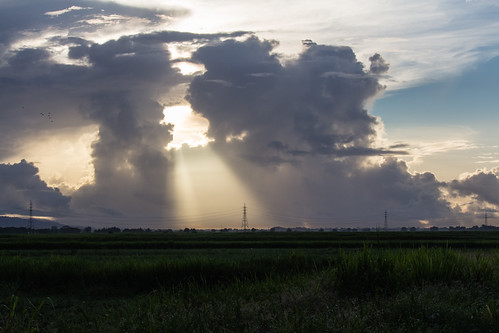 sky sun clouds sunrise landscape pylon trinidad electricity caribbean westindies trinidadandtobago caroni caroniricefields