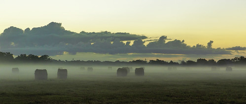 canon eos 6d texas outdoor color ef2470mmf28lusm landscape hayfield hay pasture fog sunrise naturallight art artistic