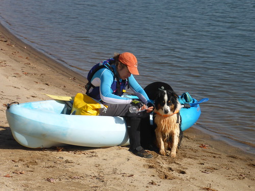 kayak lake dog jocasse hartwell