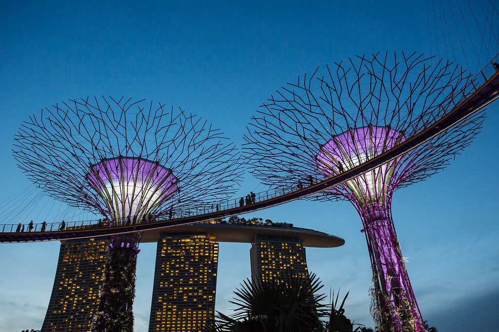 Travel Photography | Supertree Grove | Gardens By The Bay | Singapore