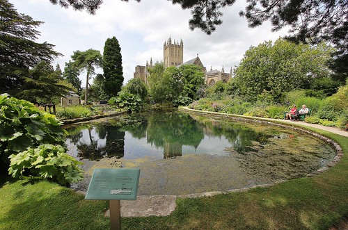uk trees england southwest canon reflections bench cathedral path wells somerset lawns bishopspalace efs1022mmf3545usm 60d gardenofreflection steveeverett happygorgeousgreenthursday hggt famouswellpools