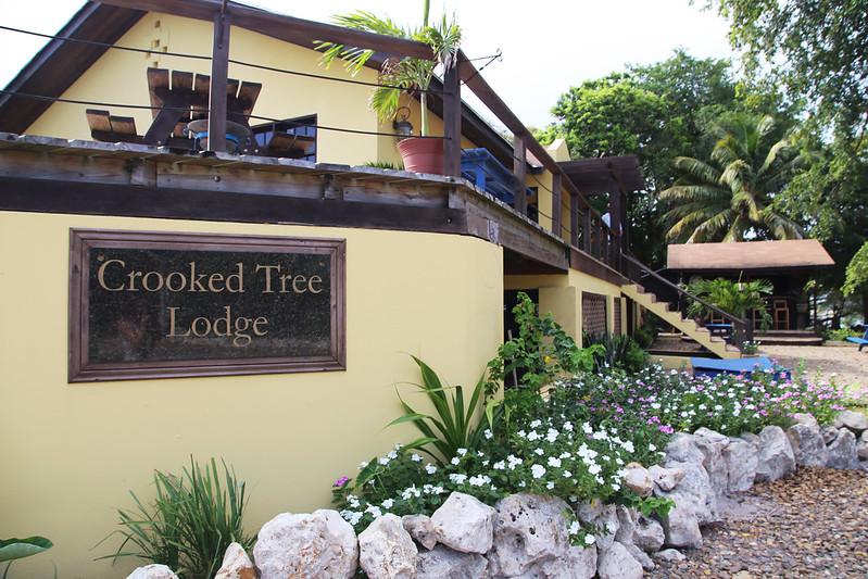 Crooked Tree Lodge