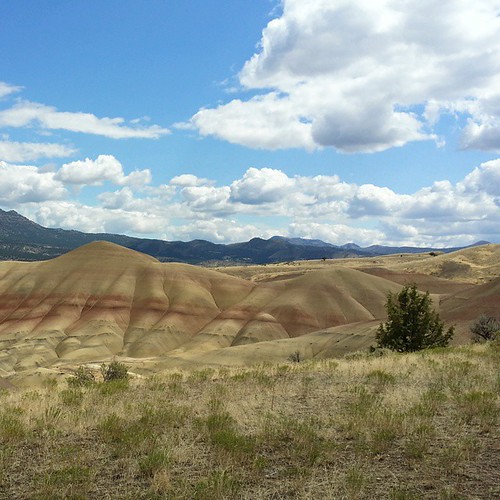 Amazing weekend at the John Day Fossil Beds National Monument in Oregon.   Best thing our taxes go to.