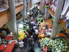 Farmers Market 140901_105