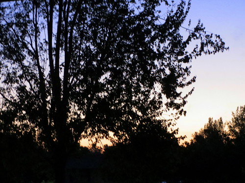 lumberton nc northcarolina robesoncounty morning dawn daybreak tree trees sky silhouette sunrise early newday nature landscape scenic colorfulsky photooftheday photo365 pictureoftheday