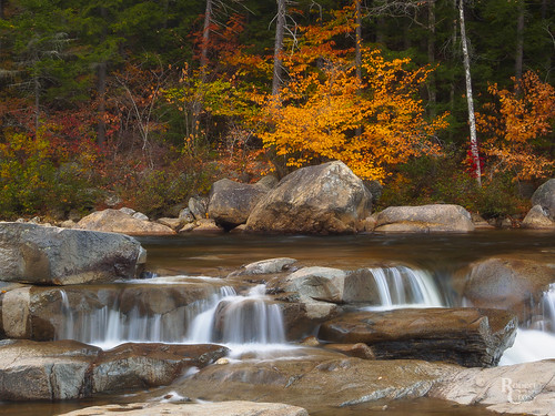1250mmf3563mzuiko carroll conway em5 kancamagushighway longexposure lowerfalls newengland newhampshire omd olympus swiftriver whitemountains autumn creek fall forest landscape leaves nature rapids river rocks stream trees waterfall