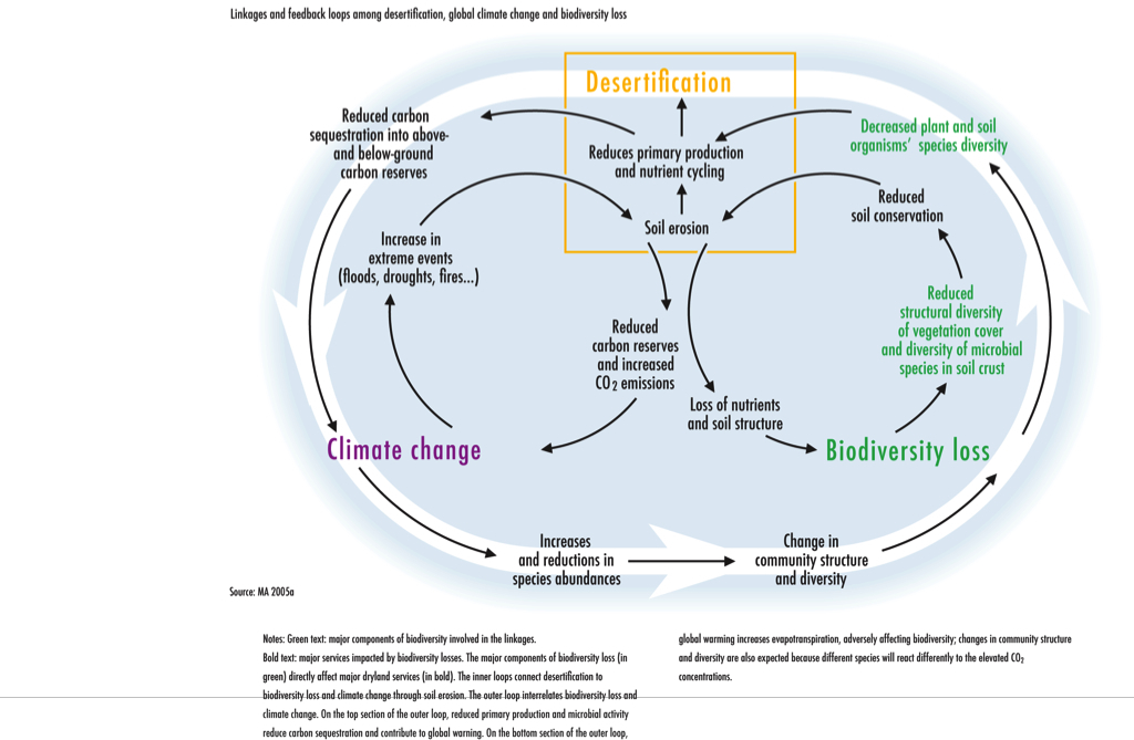 problem solving activity climate change and feedback loops answers