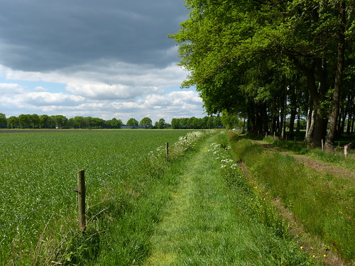 holland netherlands landscape day cloudy nederland achterhoek landschap gelderland boelekeerlspad panasonicdmcfz150 1150383