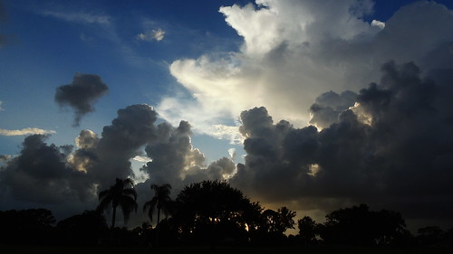 sunset summer sun storm rain weather silhouette clouds palms nikon flickr wind florida coolpix thunder bradenton manateecounty p510 mullhaupt cloudsstormssunsetssunrises jimmullhaupt