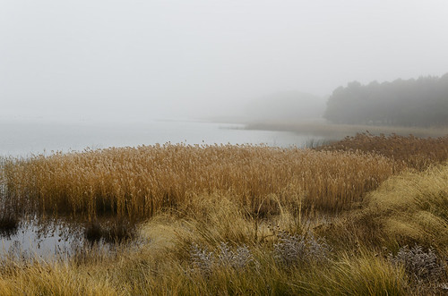lake fog pond spain estanque niebla teruel alcañiz motorland bajoaragón laestanca