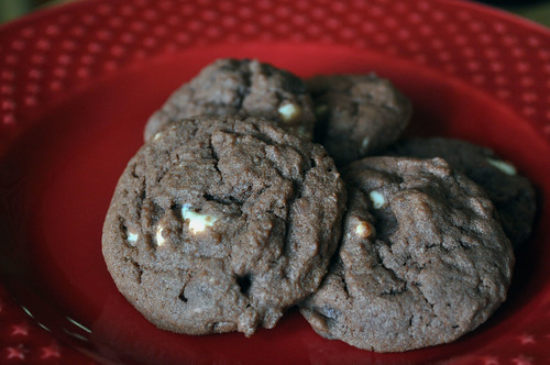 Soft Chocolate Pudding Cookies are a perfect addition to lunch boxes or to nibble on after dinner | www.famfriendsfood.com