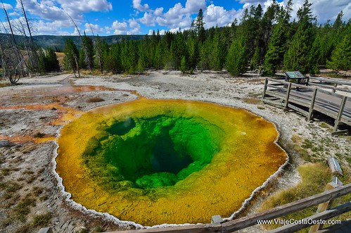 VIAJE COSTA OESTE EE.UU. - Blogs de USA - Yellowstone - Zona Sur (10)
