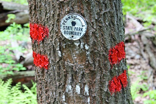 statepark tree sign pennsylvania trail bark marker boundary blazing blueknob trailblazing mountainviewtrail