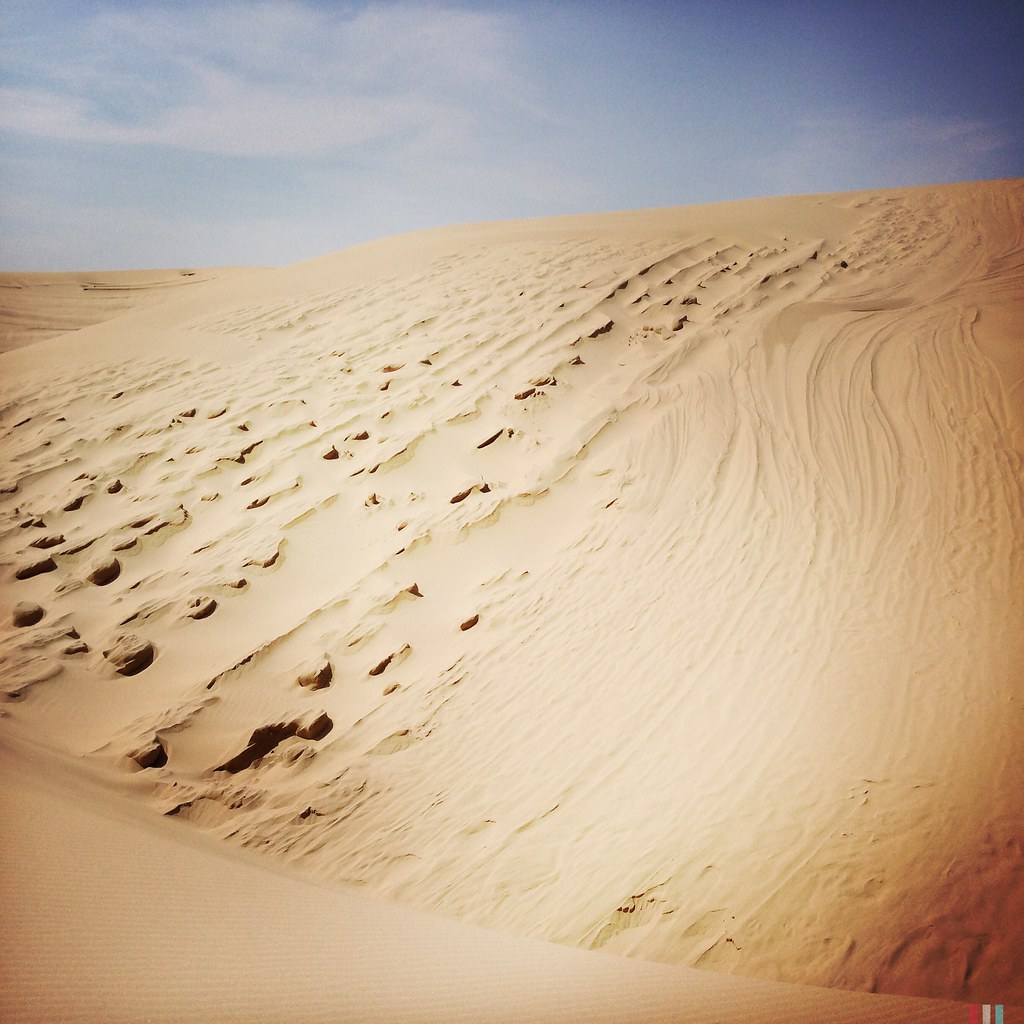 Dunes on a sunny day near Lakeside Oregon