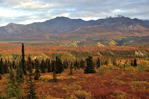alaska fallcolors autumncolors glennhighway chugachmountains